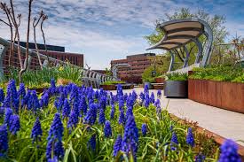 Fairleigh Dickinson University - Metropolitan Image