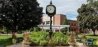 Lewis University Image