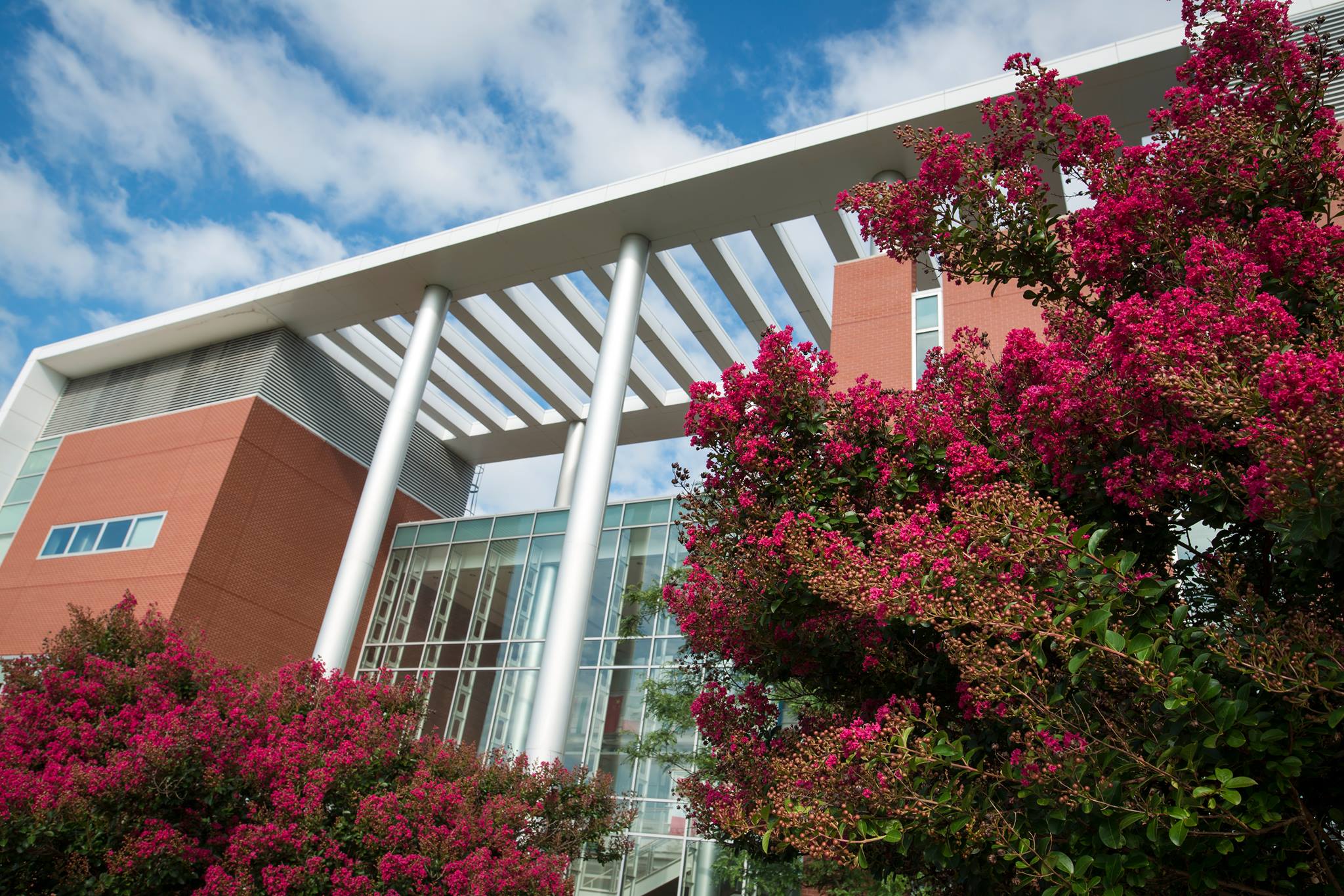 George Mason University Image
