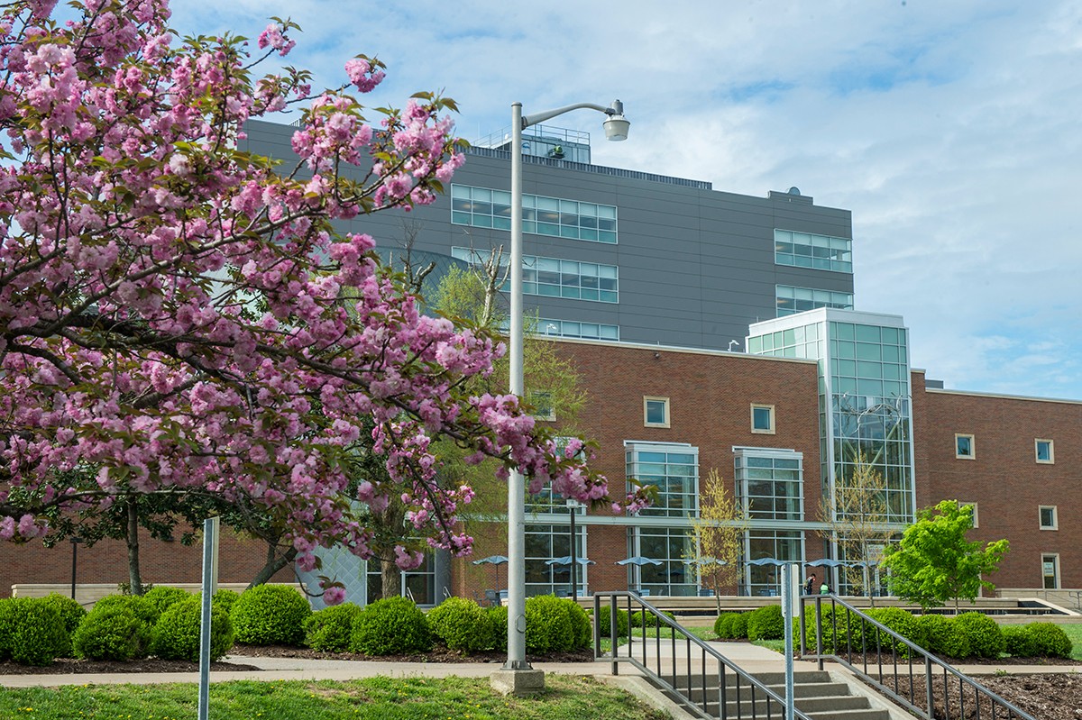 Southern Illinois University Image