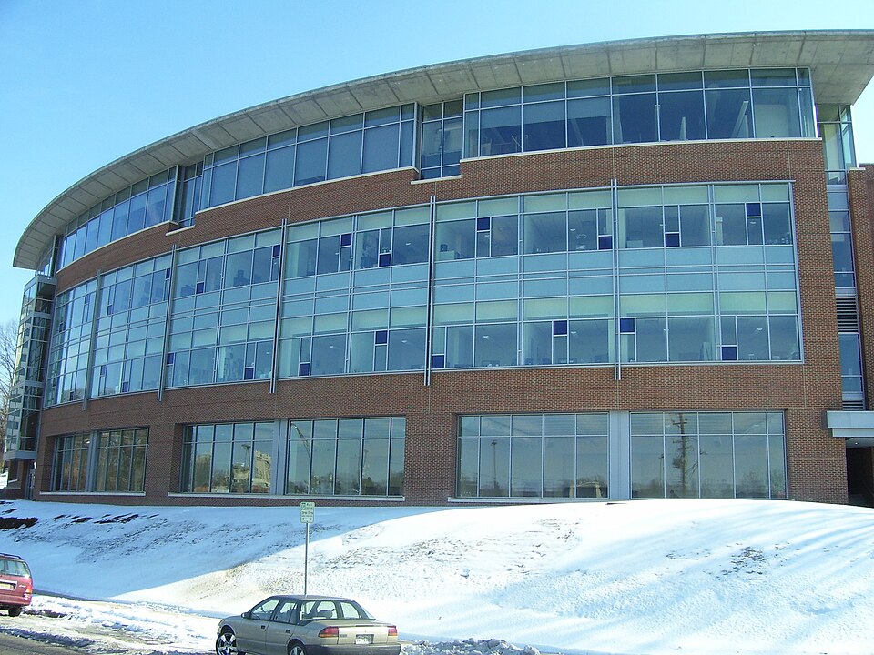 Towson University Image